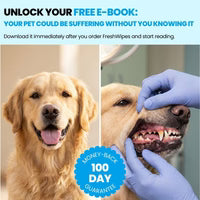 E-book: Your Pet Could Be Suffering Without You Knowing It