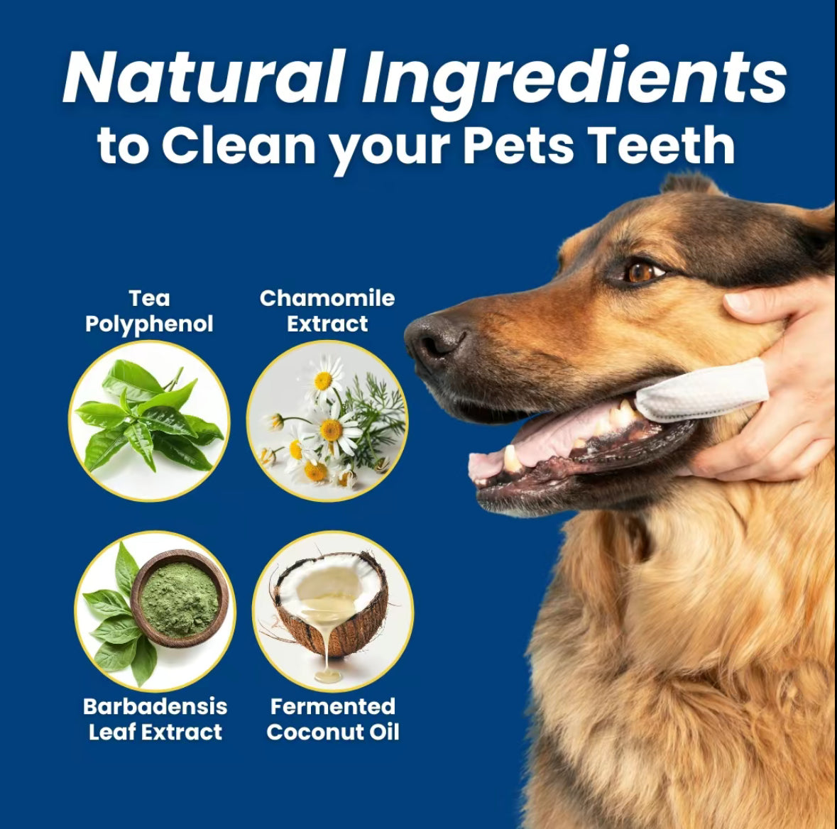 Natural Pet Dental Finger Wipes