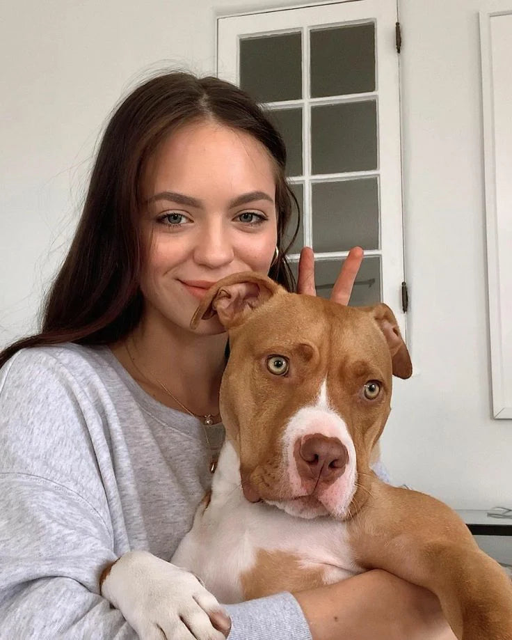 Veronica & Chucky (Pit Bull Terrier)
